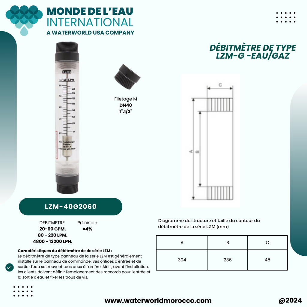FLOWMETER 20-60 GPM 