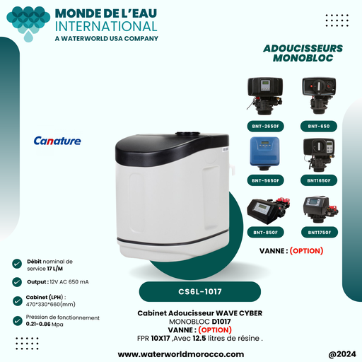 [CS6L-1017] CS6L-1017 cabinet softener, with 10x17 tank, with 12.5L resin, with   (D)