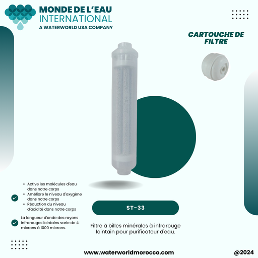 INLINE CARTRIDGE INFRARED   (D)