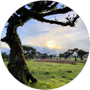 Mohammed Nazih profile picture